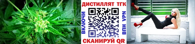 ТГК концентрат  Купить где  Майкоп 